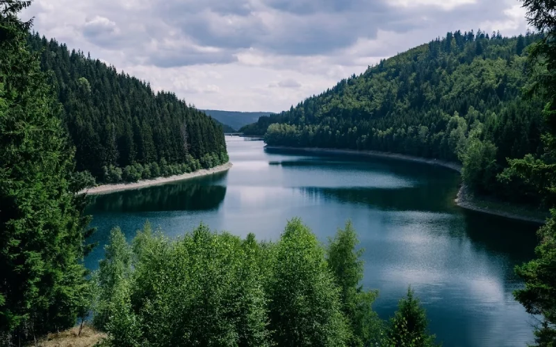 Thüringen - Trái tim xanh diệu kỳ của Đức