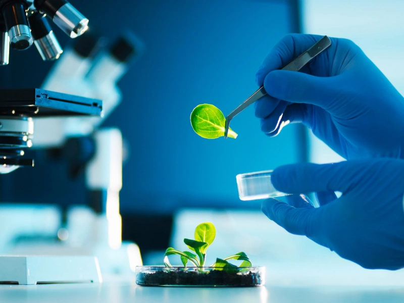 Hành trình du học Đức ngành Công nghệ Sinh học năm 2025